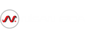 Nisan Gıda Logo